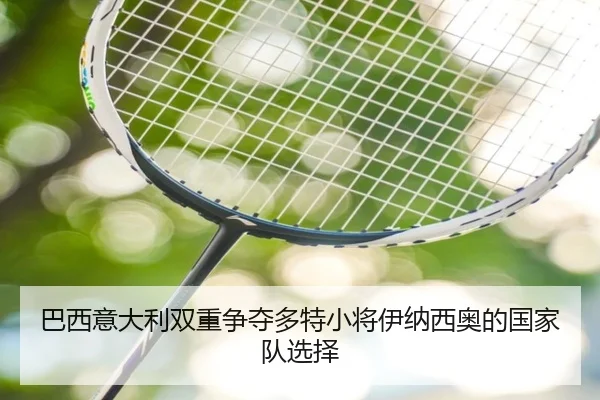 巴西意大利双重争夺多特小将伊纳西奥的国家队选择